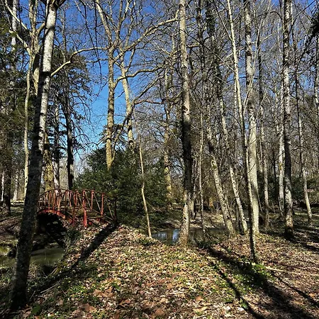 D'exception A - Charme Et Confort Pour 5 Personnes - Fr-1-541-168